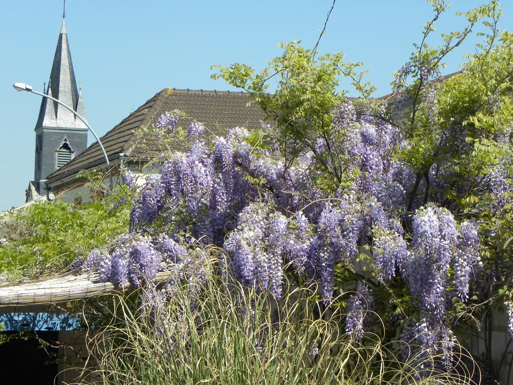 Entre Cour Et Jardin Hotell Châlons-en-Champagne Exteriör bild